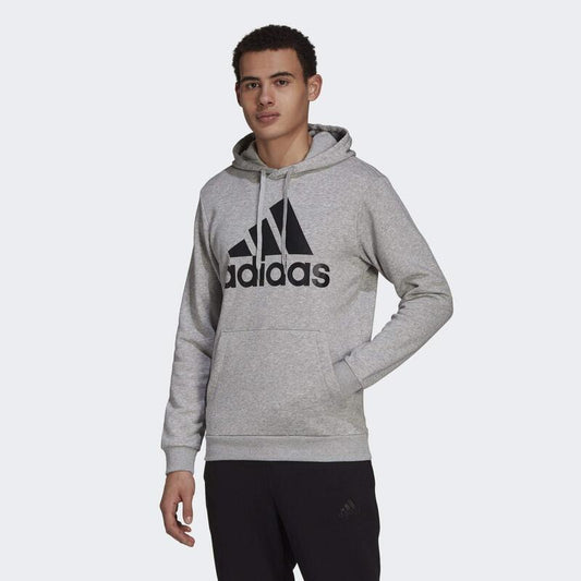 Hoodie adidas Essentials Fleece Big Logo, Cinza, Homens